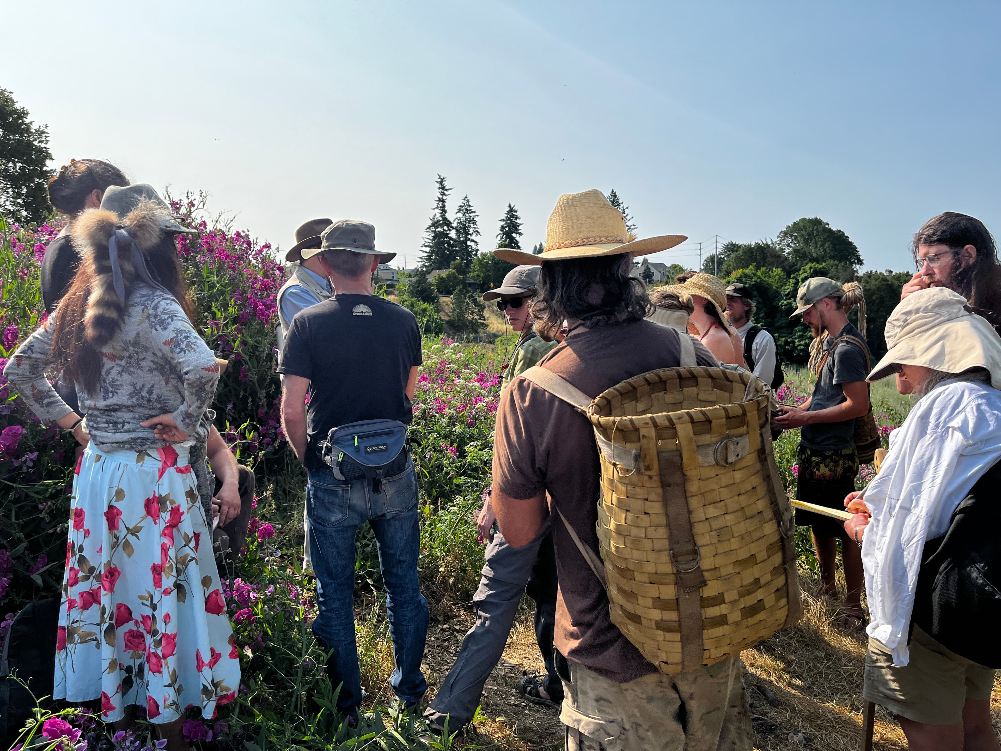 Edible and Medicinal Plant Identification Walks